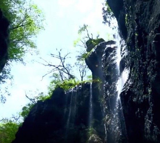 青山綠水，白龍江畔江畔息白鷺，兩岸綠橄欖入眼的都是純樸自然枝上花開(kāi)，春來(lái)水暖魚(yú)蝦戲水，鳥(niǎo)語(yǔ)花香心中充滿(mǎn)著舒暢之感祥宇生態(tài)產(chǎn)業(yè)園，位于隴南市武..